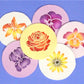 Exotic Flowers Round Cookie Stencil Set by Designer Stencils Cookies