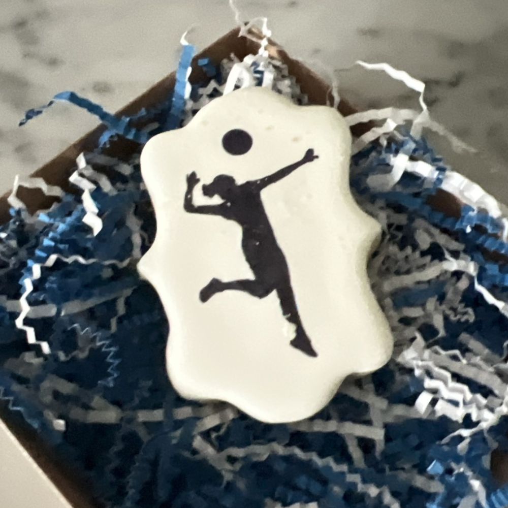 Women's Volleyball Players Cookie Stencil