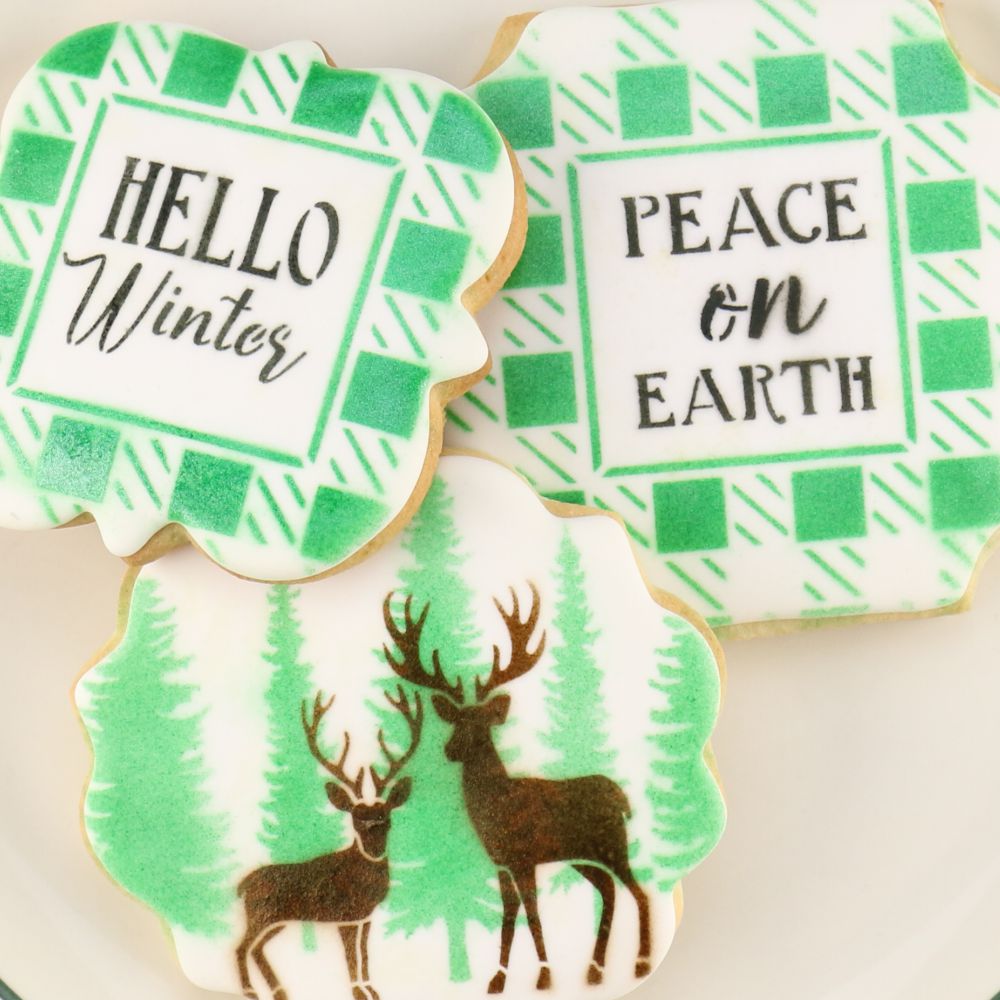 Winter themed flooded and airbrushed cookies