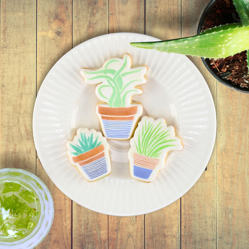 Potted Aloe cookies made with aloe shaped cookie cutters