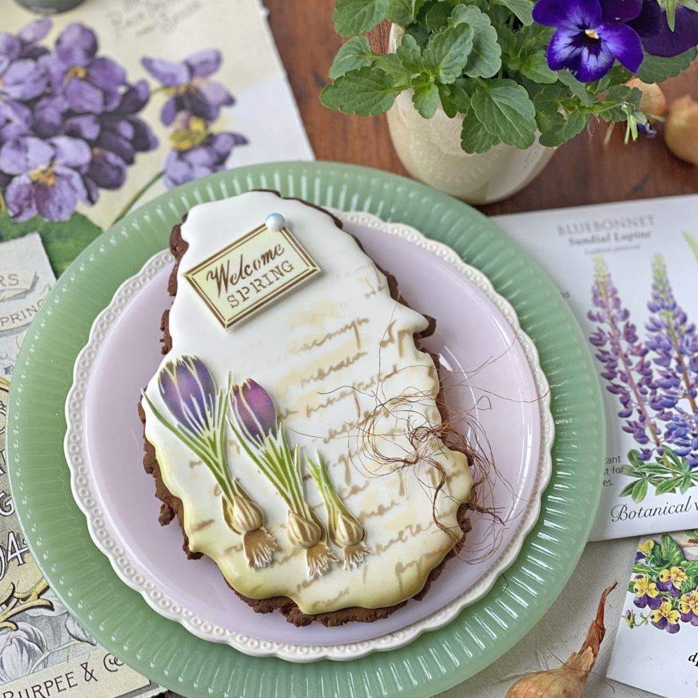 Decorated Spring cookies by Julia Usher using Dynamic Duos Cookie Stencil Set
